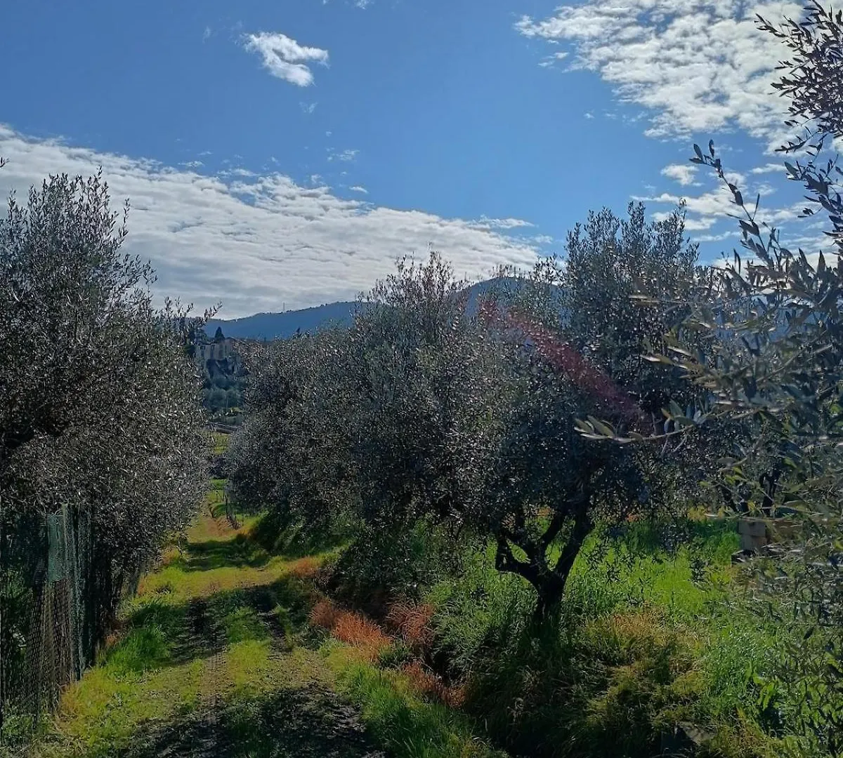 Casa Branchetti Villa Quarrata 0*,  Italy