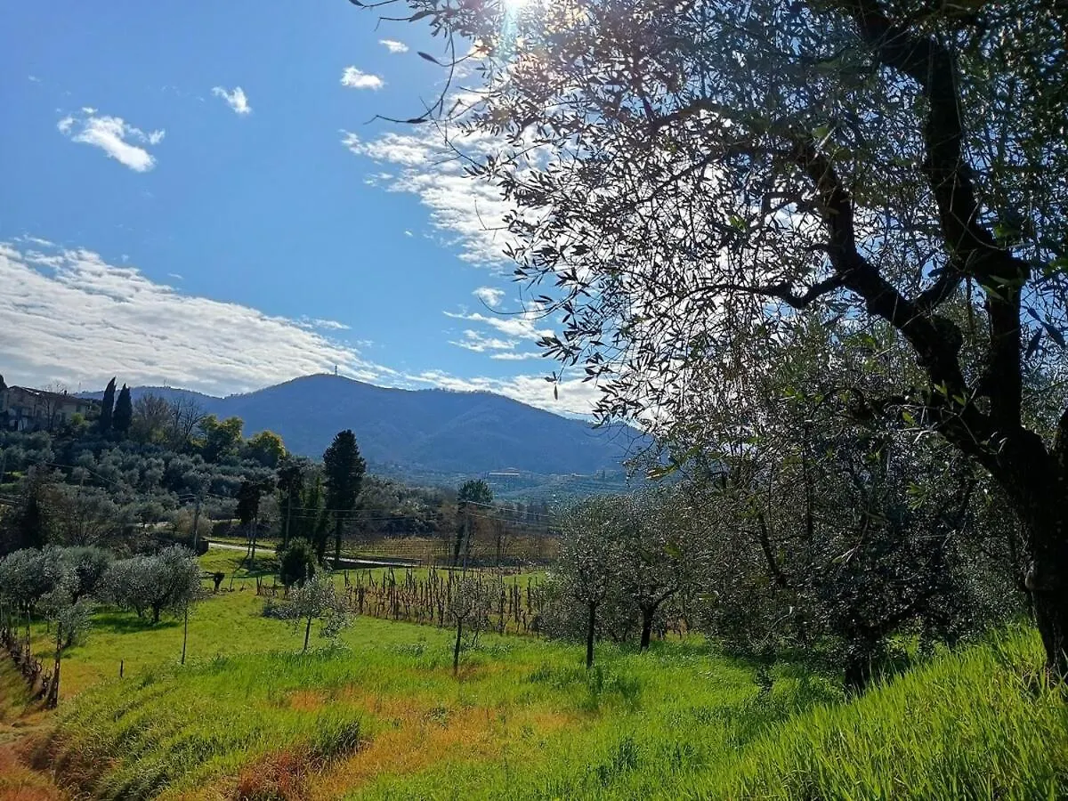 Casa Branchetti Villa Quarrata Italy